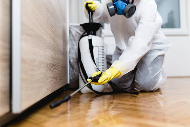 Best Exterminator Services  in Hemet, CA