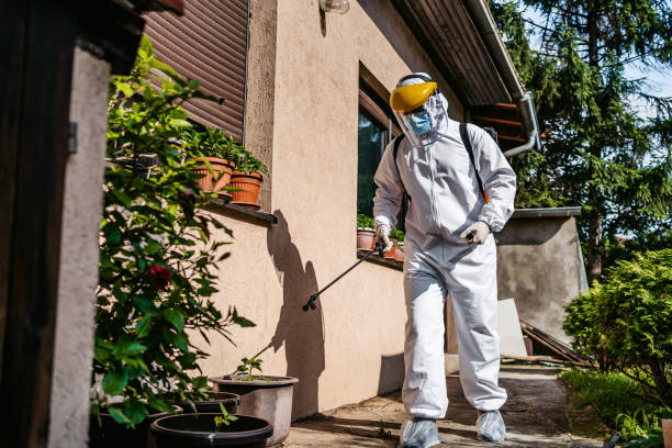 Best Residential Pest Control  in Hemet, CA