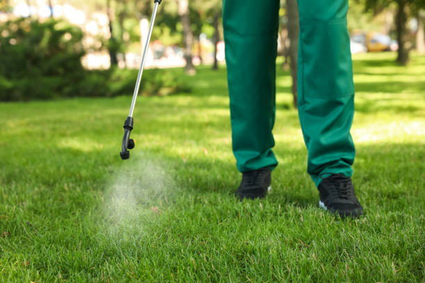 Best Pest Prevention Services  in Hemet, CA