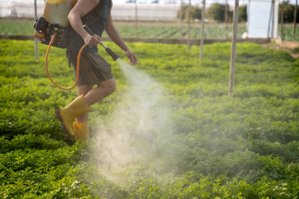 Best Commercial Pest Control Services  in Hemet, CA