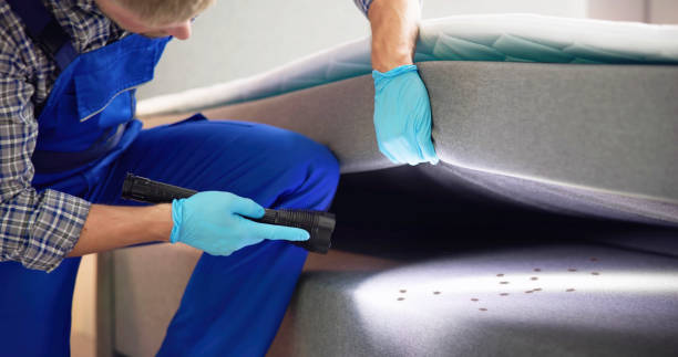 Best Residential Pest Control  in Hemet, CA